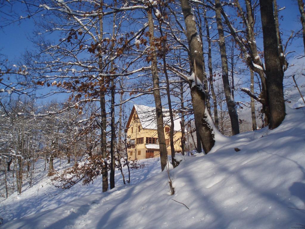 Guest House Tara Canyon ปิเลฟเลีย ภายนอก รูปภาพ