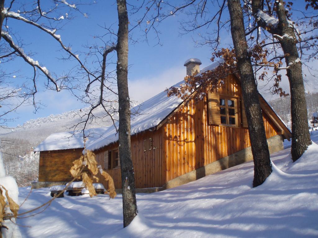 Guest House Tara Canyon ปิเลฟเลีย ภายนอก รูปภาพ